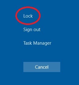 Windows Lock Icon